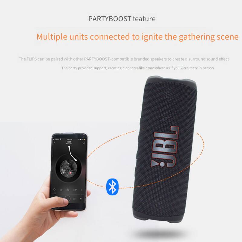 Altoparlante Bluetooth Wireles - Jbl Speaker Flip 6 recensione e prezzo